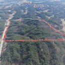 종합운동장 기타 이미지