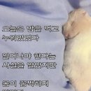 미래지점 이미지