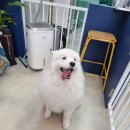 올리스 방이점 이미지