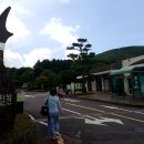 노루생태관찰원 이미지