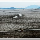 순천만 풍경 이미지