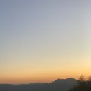 포레스트리솜 이미지