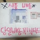 [떡신 떡볶이]초간단 반조리 포장 떡볶이 국물맛이 일품인 떡신