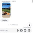 오페라 청 | 호주 시드니 여행 오페라하우스 뷰 무료 요가 다녀온 후기 THE ROCKS Yoga under the Bridge (가는 길...
