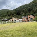 헬로우댕댕 이미지