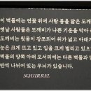 영암도기박물관 Daum카페