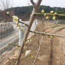 (주)다투어