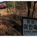 청심여인숙 티스토리