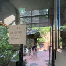 와일드그린 이미지