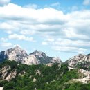 만사형통공인중개사사무소 이미지