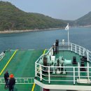 새울림오토캠핑장 | 통영 욕지도 캠핑장 추천 새울림오토캠핑장 (반려견동반+개별샤워실)