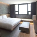 소노펫 스쿨 이미지