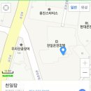 천일탕 이미지