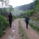 향로봉길 이미지