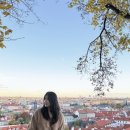 밤티민박 | [유럽여행 5] 3개월만에 다시 간 프라하 (꼴레뇨, 스카이다이빙, 한인민박, 양조장 맥주 등)