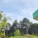 반딧불 목장 이미지