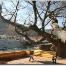 대흥초등학교 이미지