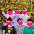 평내초등학교(병설) 이미지