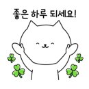 주식회사 웰리더 이미지