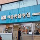 광진동물병원 이미지