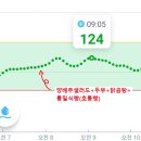 호통빵