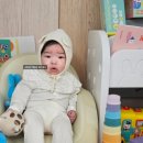 투래빗잉글리시