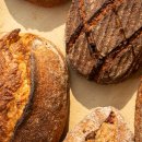 서편영농조합법인 이미지