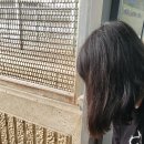 대동동물병원 이미지