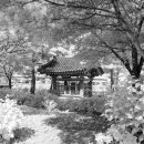 이공제비 및 군수이후범선영세불망비 이미지