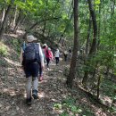 여강길(10-1코스 싸리산길) 이미지