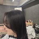 지니살롱 네이버블로그