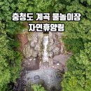 충청도 계곡 물놀이장 자연휴양림 추천 당일치기 물놀이 평상
