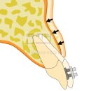 압구정연치과의원 이미지