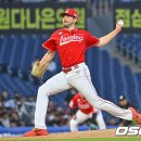 베니 - 서구 둔산중로 19 | 베니
