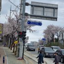 장수부침개 이미지