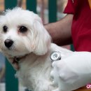 영덕사랑동물병원 이미지