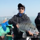 탄도만 이미지