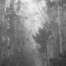 싼티아고 이미지