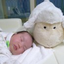 멍구야 놀자 이미지