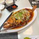 초록과 함께하는 힐링타임 이미지