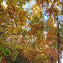 구리둘레길(1코스) 이미지