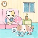 냥이조아 이미지