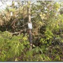 진등3로 이미지