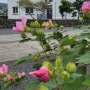 까사 그란데 이미지