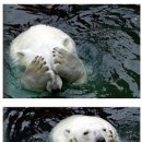 진평 이미지