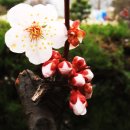 김해건설공업고등학교 이미지