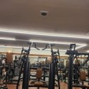 피트니아 이미지