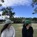 트롤리케이크