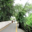 신천지카센타 이미지