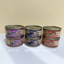 (주)피앤비 인터내셔널 | 내추럴그레이트니스 고양이 주식캔 3종 리뷰